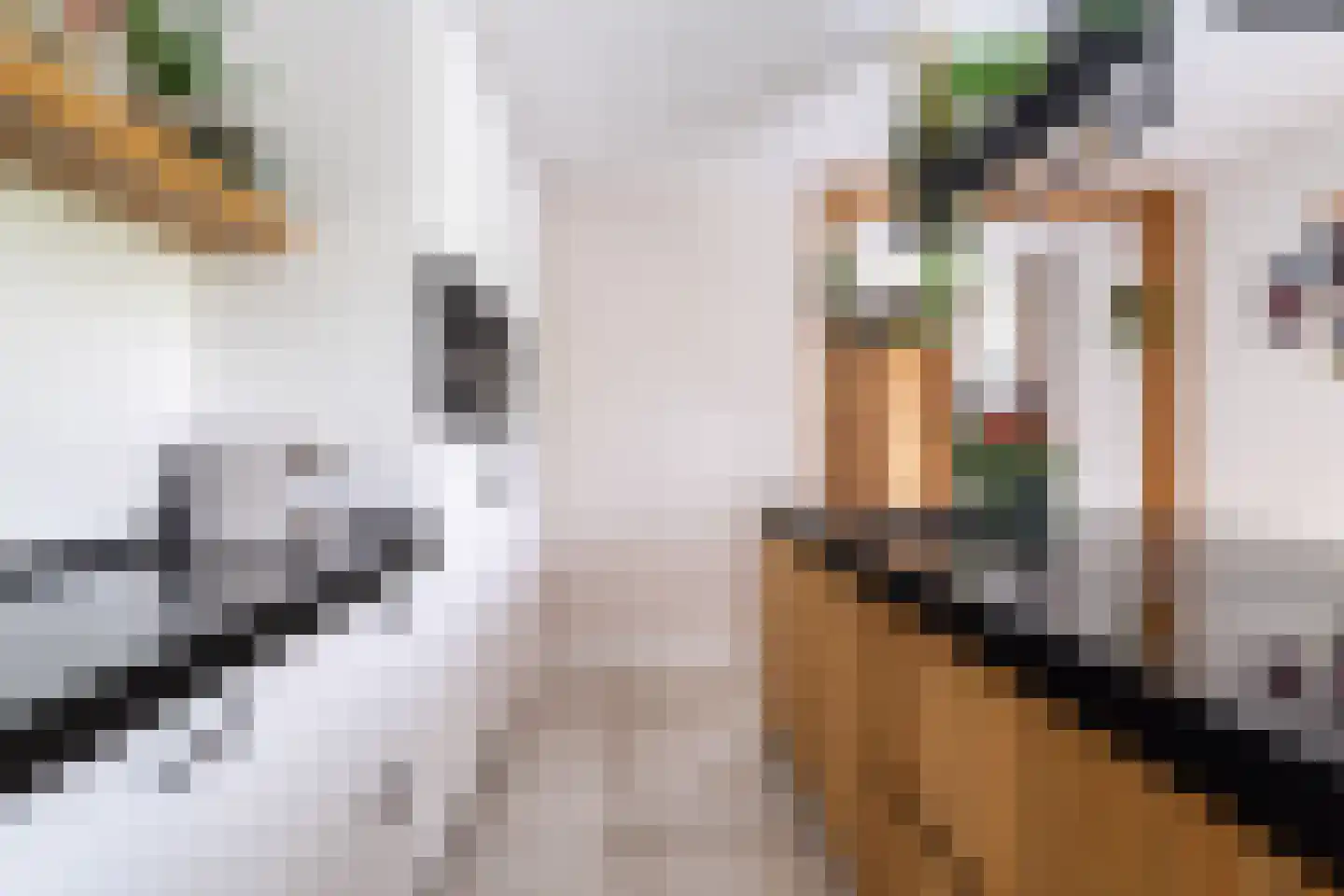 Nieuwevaart 58 Sprang-Capelle thumbnail 17