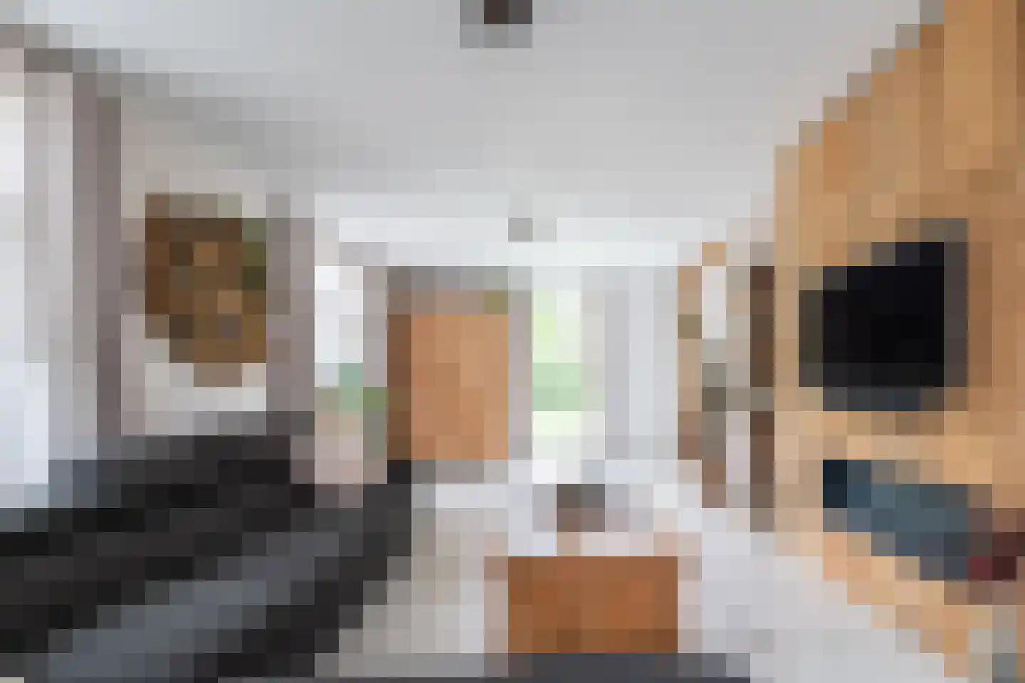 Nieuwevaart 58 Sprang-Capelle thumbnail 24