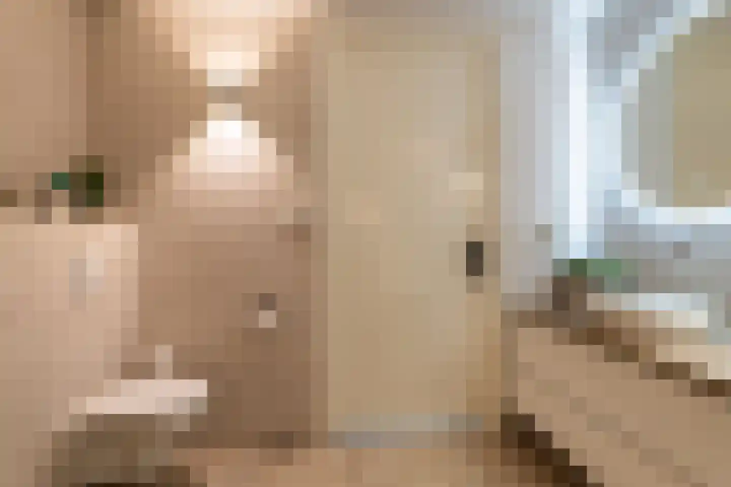 Nieuwevaart 58 Sprang-Capelle thumbnail 38