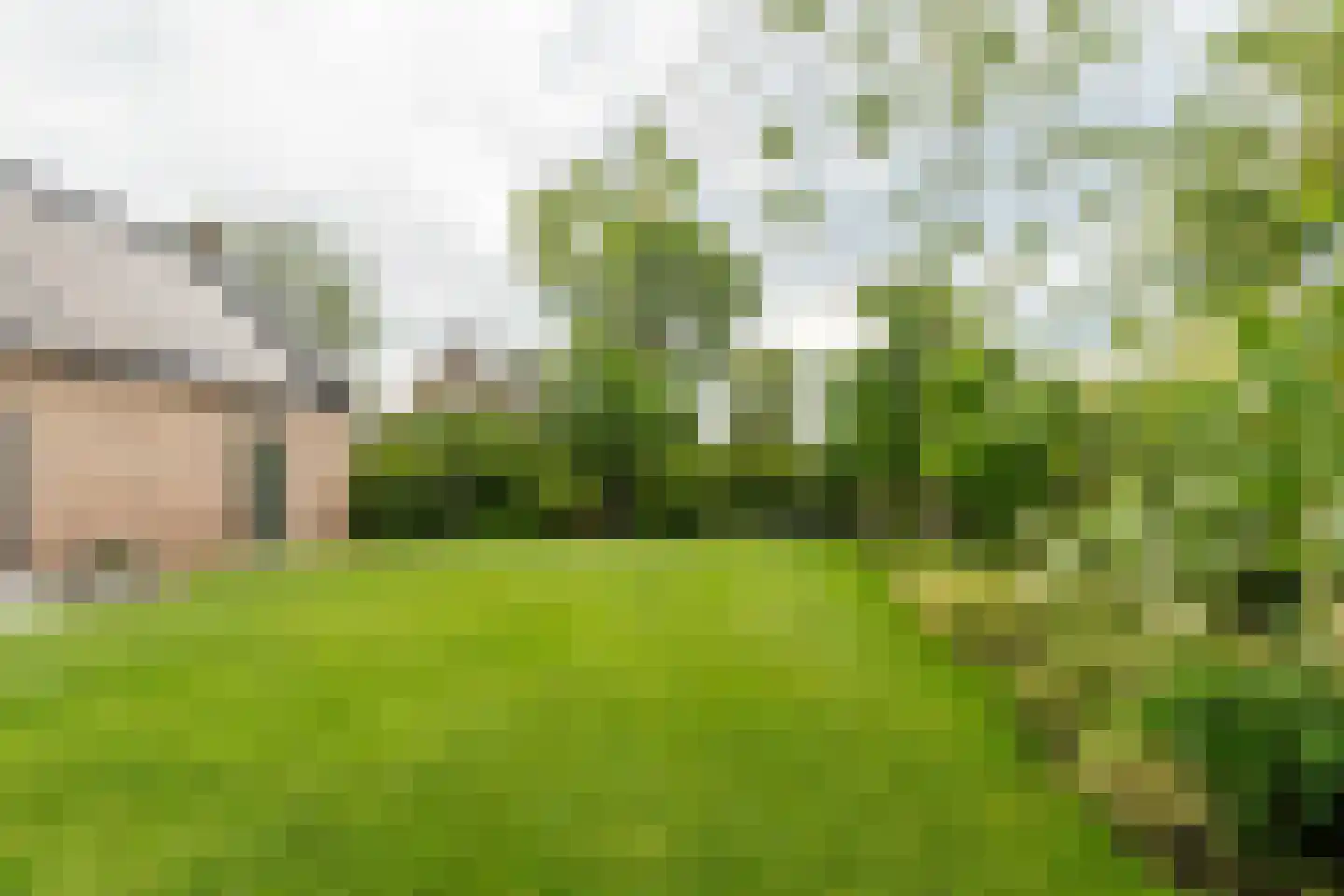 Nieuwevaart 58 Sprang-Capelle thumbnail 57
