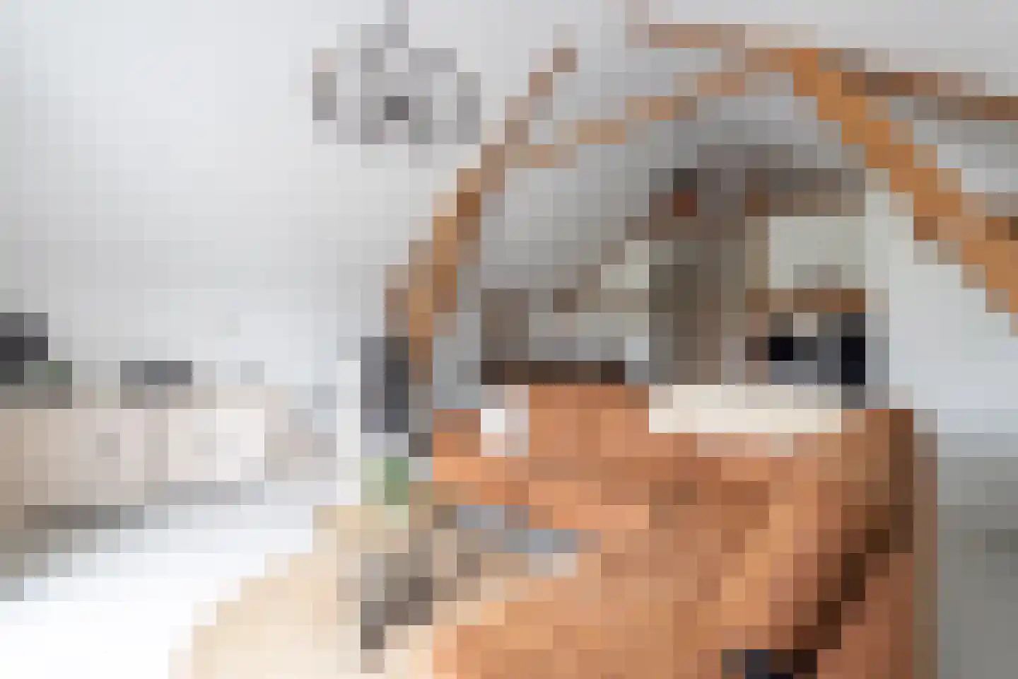 Nieuwevaart 58 Sprang-Capelle thumbnail 65