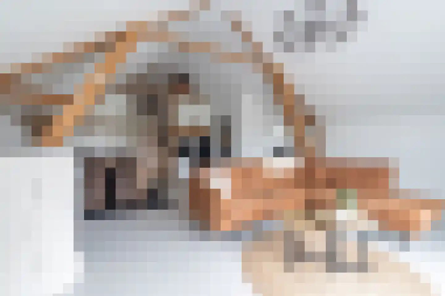 Nieuwevaart 58 Sprang-Capelle thumbnail 67