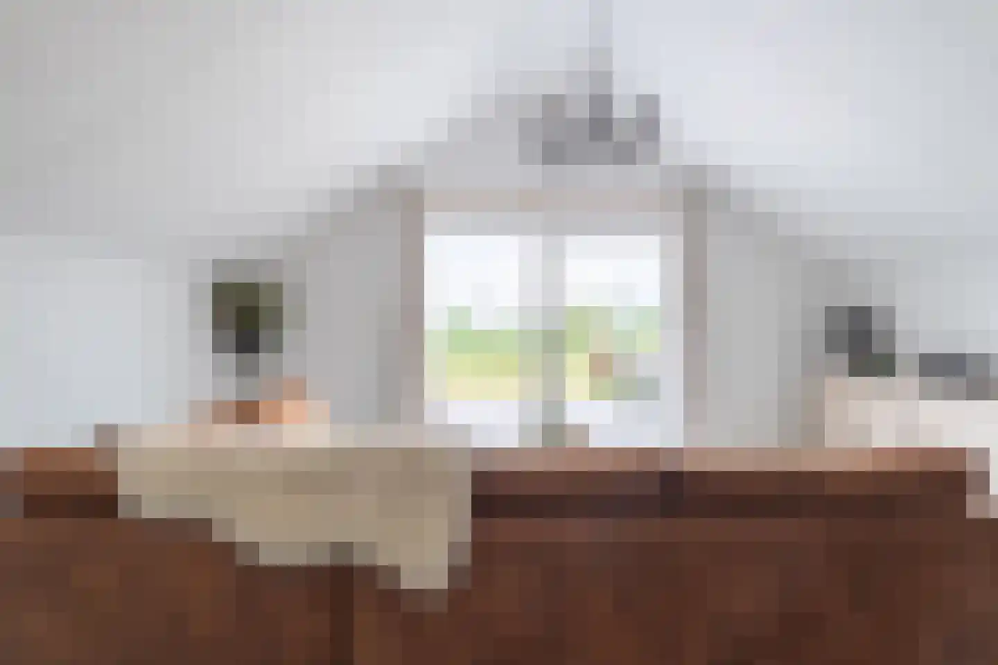 Nieuwevaart 58 Sprang-Capelle thumbnail 68