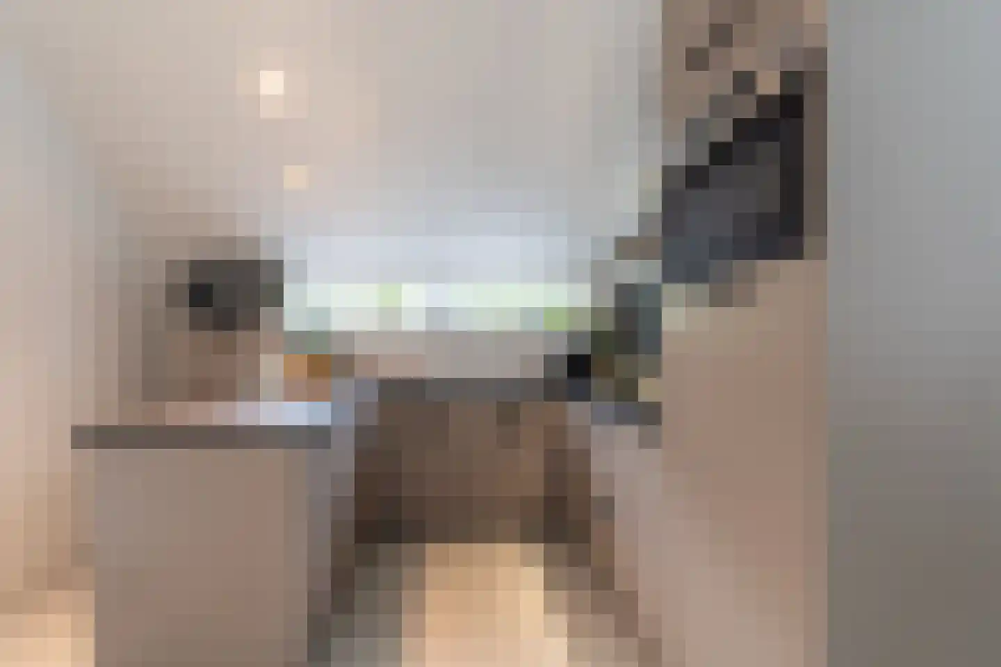 Nieuwevaart 58 Sprang-Capelle thumbnail 70