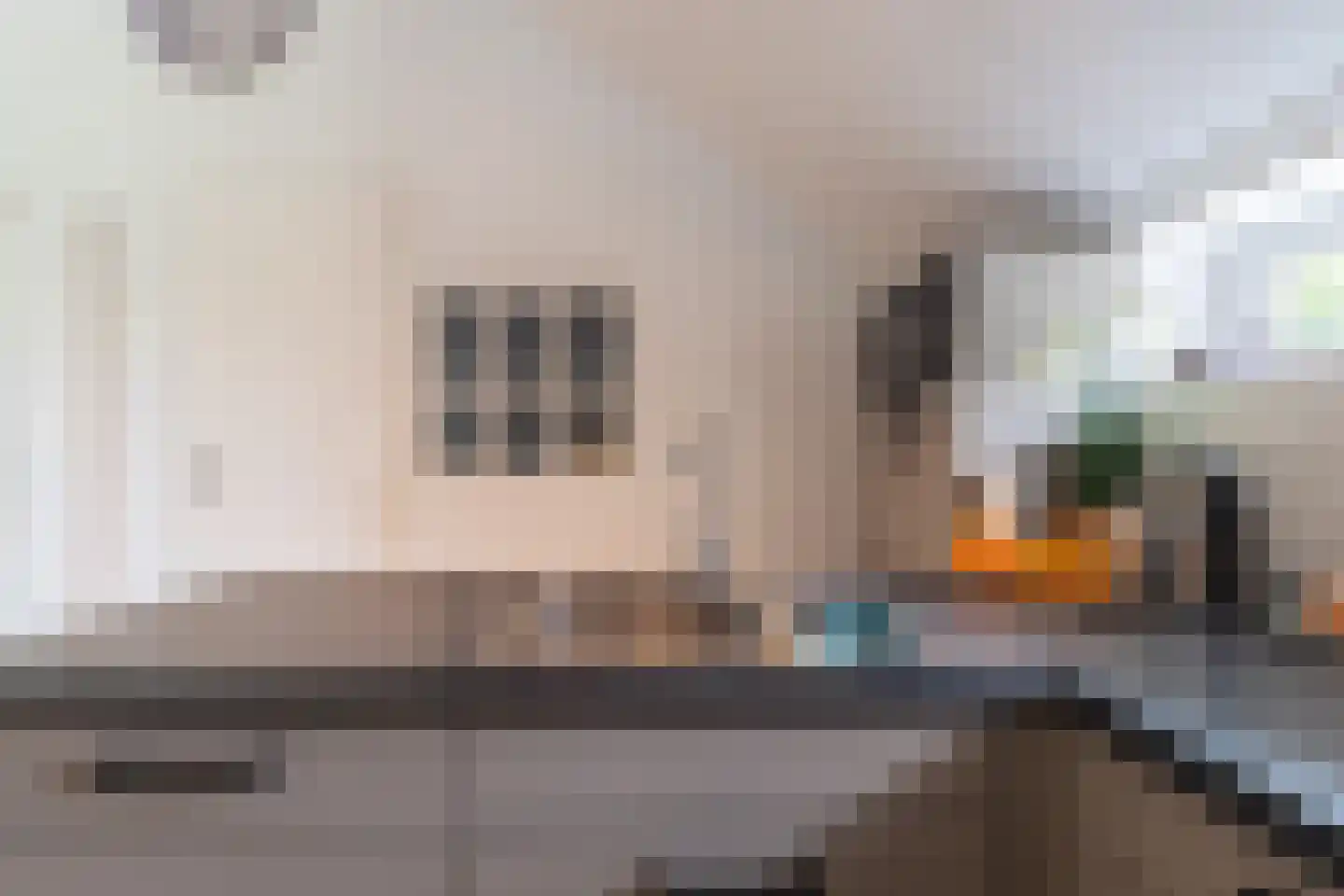 Nieuwevaart 58 Sprang-Capelle thumbnail 72