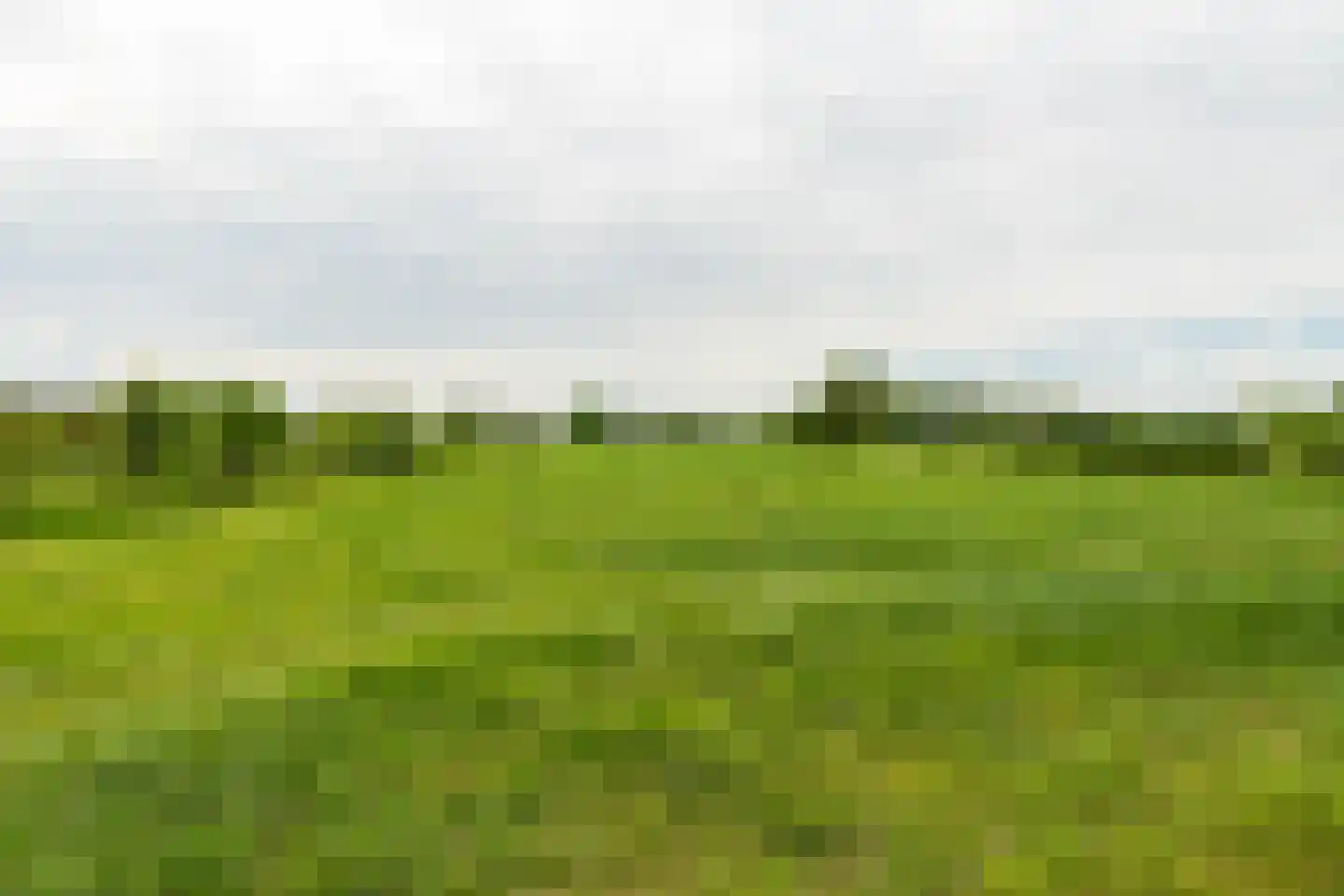 Nieuwevaart 58 Sprang-Capelle thumbnail 75