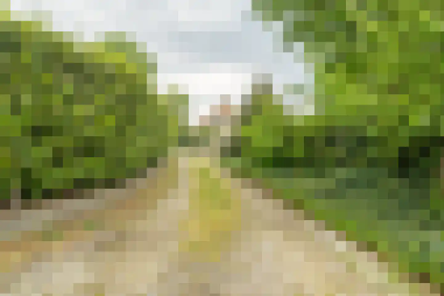 Nieuwevaart 58 Sprang-Capelle thumbnail 79