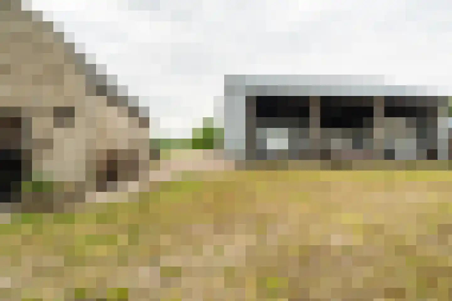 Nieuwevaart 58 Sprang-Capelle thumbnail 81