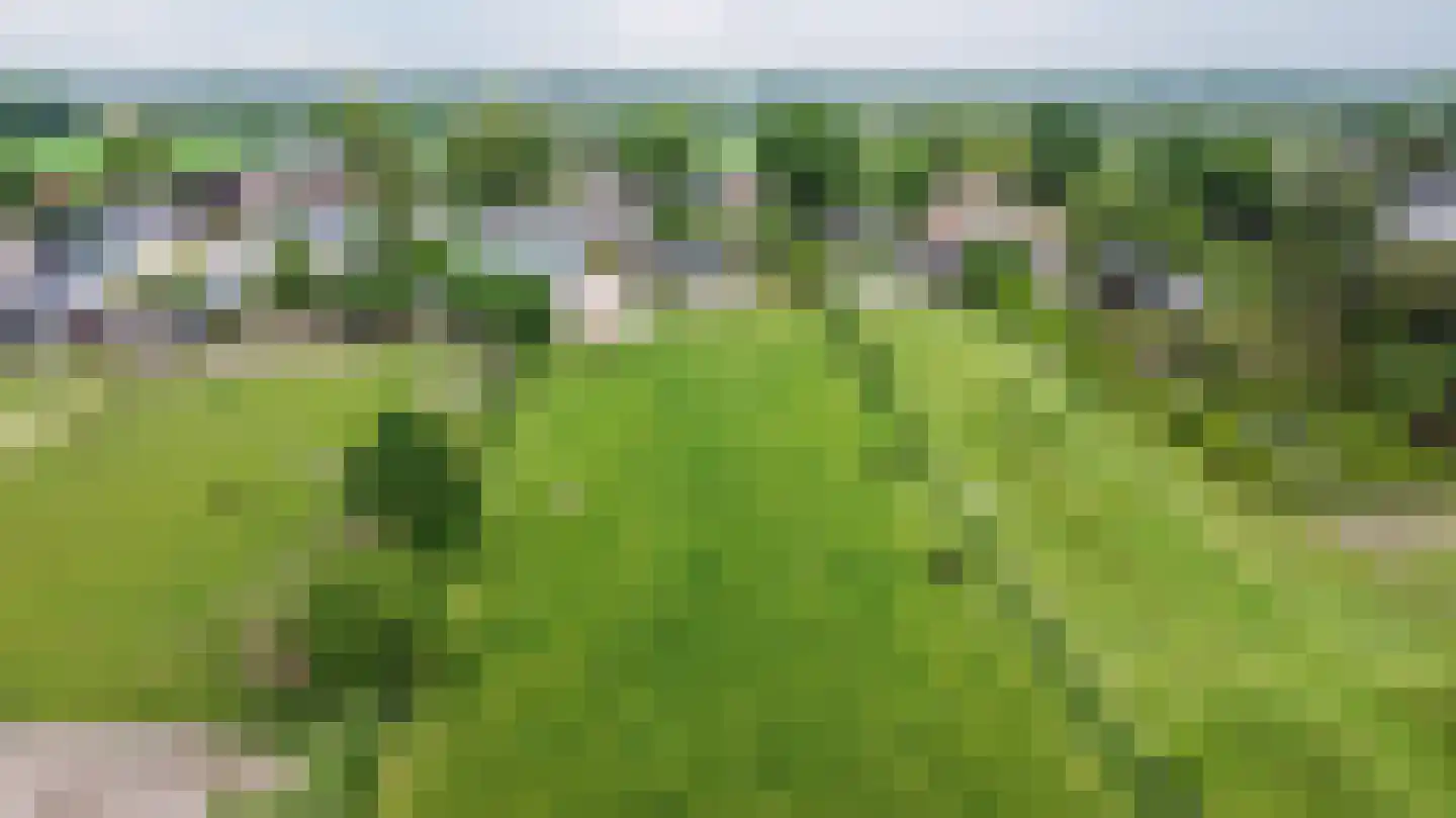 Nieuwevaart 58 Sprang-Capelle thumbnail 85