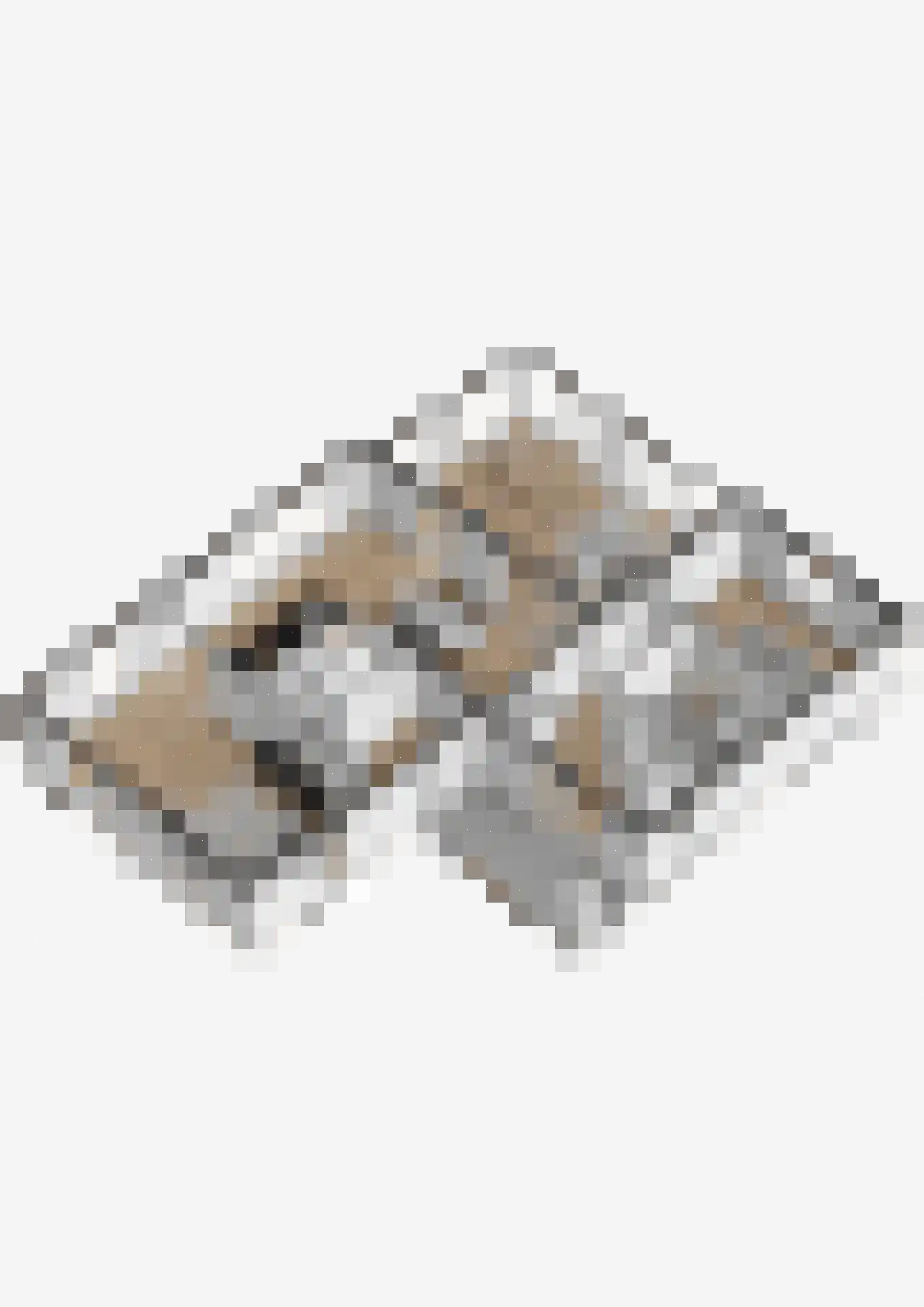 Nieuwevaart 58 Sprang-Capelle thumbnail 88