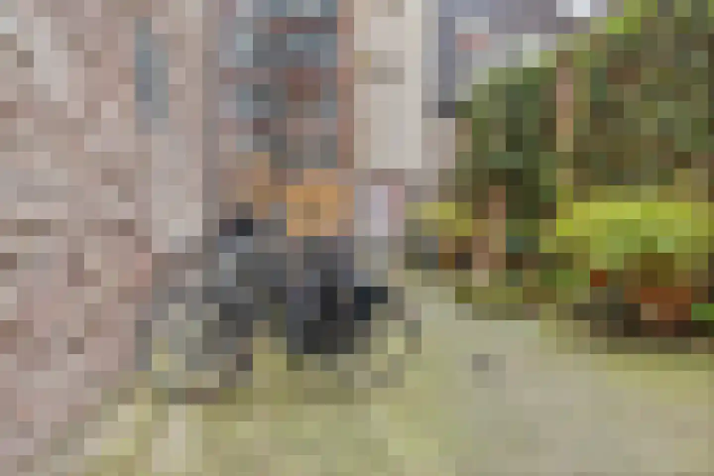 Nieuwevaart 95 Amsterdam thumbnail 5