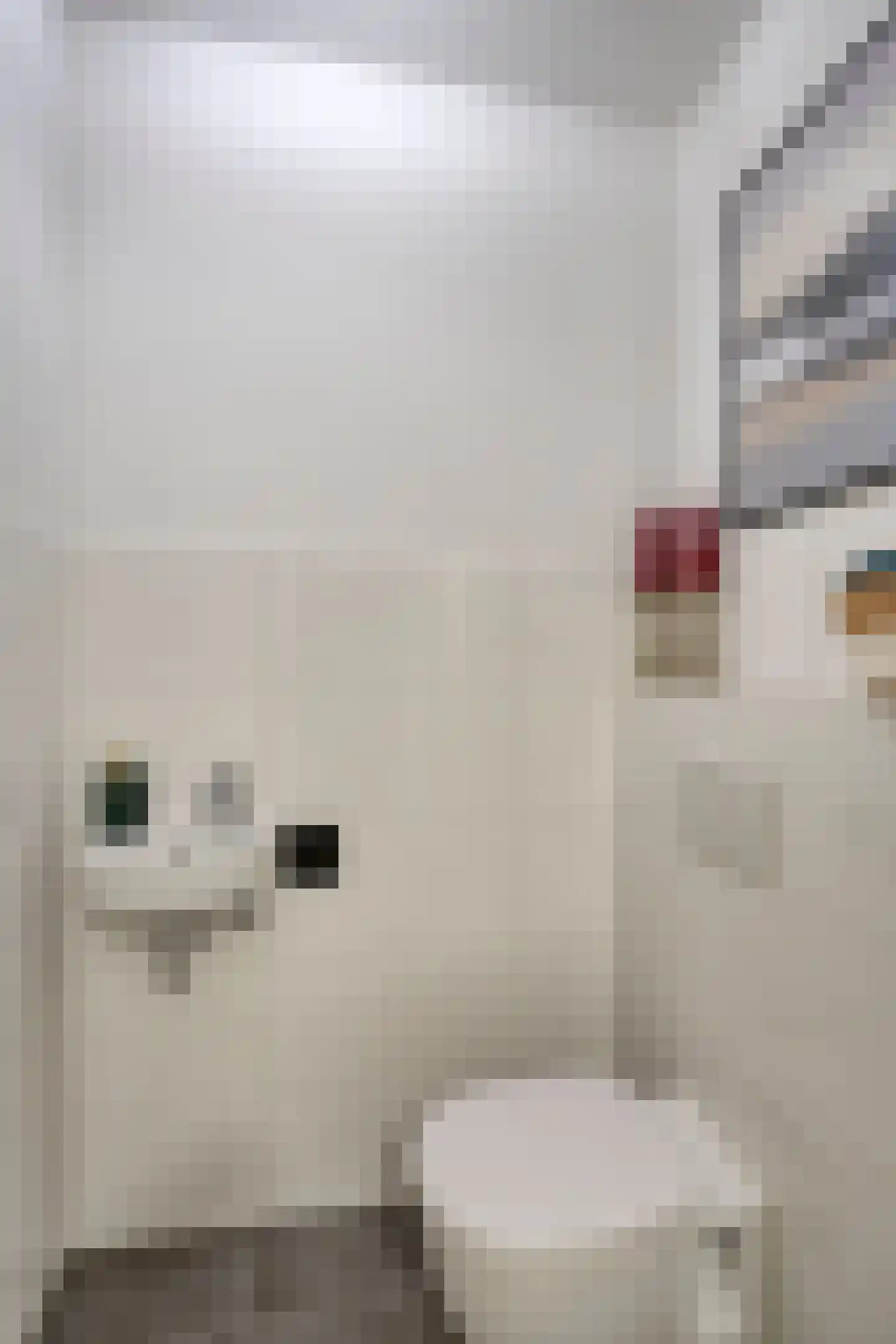 Nieuwevaartweg 3 Amsterdam thumbnail 19