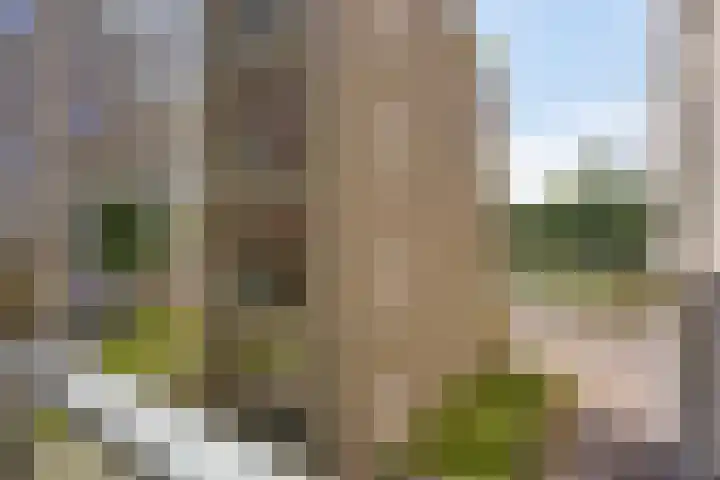 Nieuwevaartweg 7 Amsterdam thumbnail 21