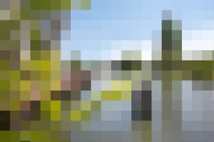 Nieuwevaartweg 7 Amsterdam thumbnail 23