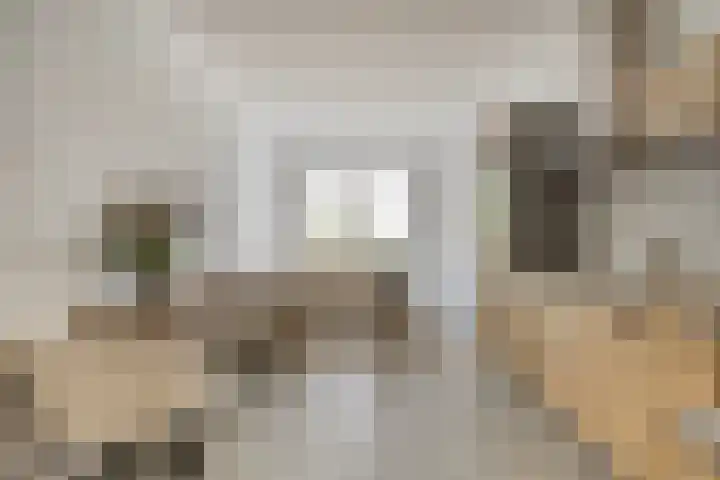 Nieuwevaartweg 7 Amsterdam thumbnail 4
