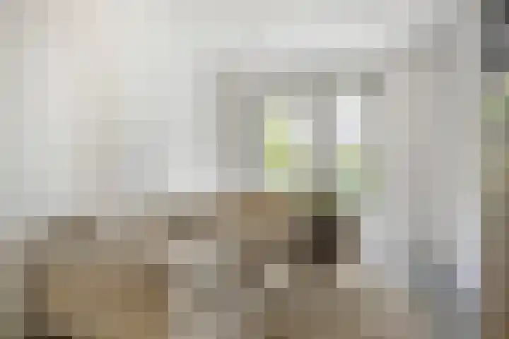 Nieuwevaartweg 7 Amsterdam thumbnail 5