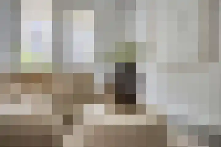 Nieuwevaartweg 7 Amsterdam thumbnail 6