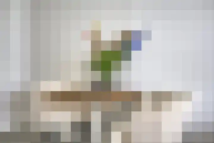 Nieuwevaartweg 7 Amsterdam thumbnail 8