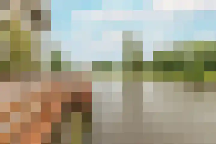 Nieuwevaartweg 9 Amsterdam thumbnail 25