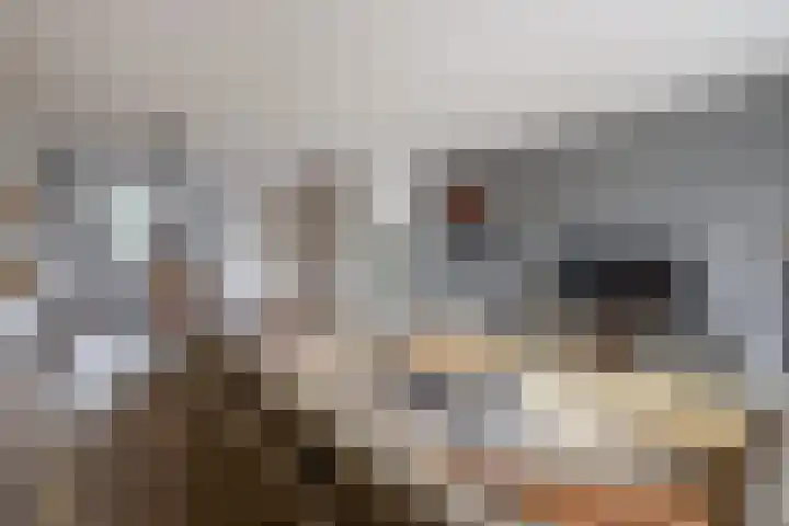 Nieuwevaert 12 Kaatsheuvel thumbnail 10