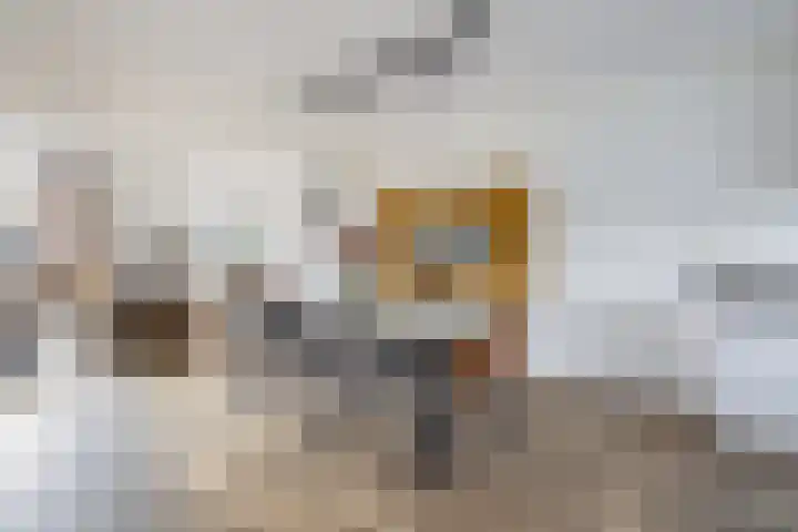 Nieuwevaert 12 Kaatsheuvel thumbnail 12