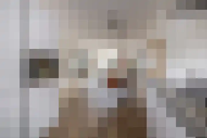 Nieuwevaert 12 Kaatsheuvel thumbnail 16