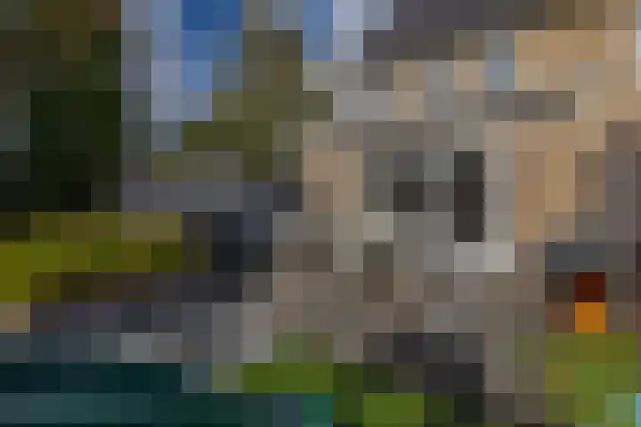 Nieuwevaert 12 Kaatsheuvel thumbnail 19