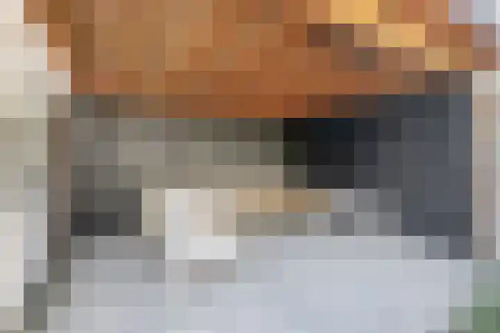 Nieuwevaert 12 Kaatsheuvel thumbnail 21
