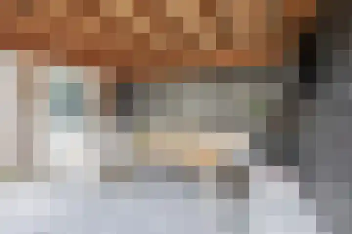 Nieuwevaert 12 Kaatsheuvel thumbnail 22