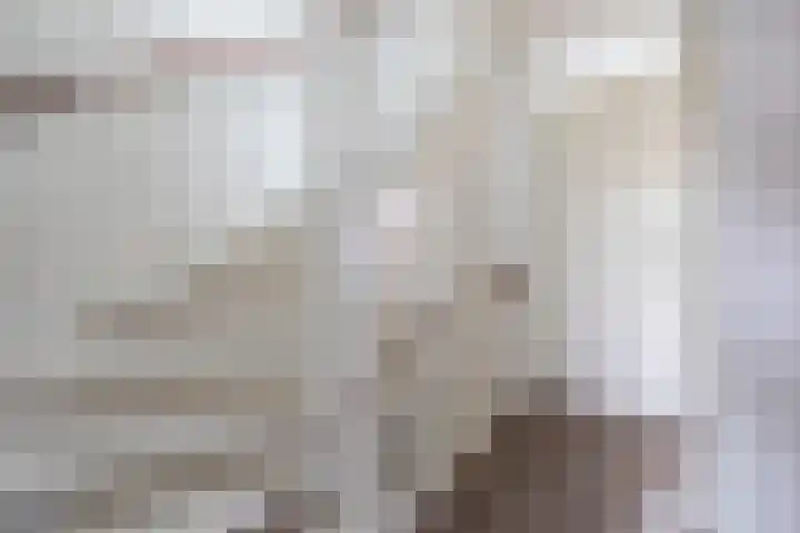 Nieuwevaert 12 Kaatsheuvel thumbnail 23