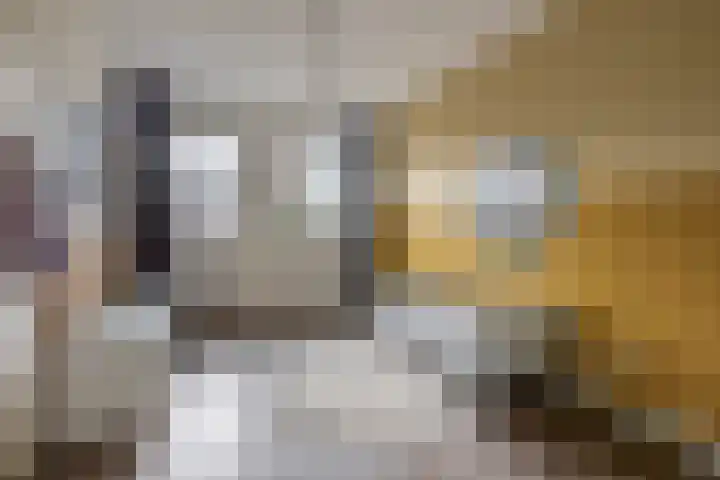 Nieuwevaert 12 Kaatsheuvel thumbnail 28