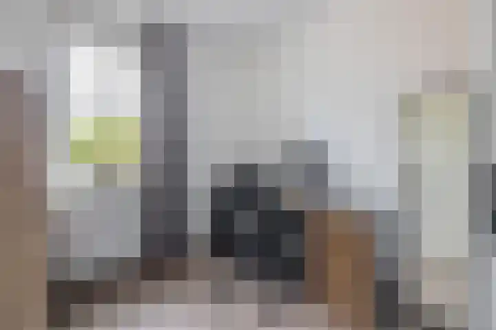 Nieuwevaert 12 Kaatsheuvel thumbnail 29