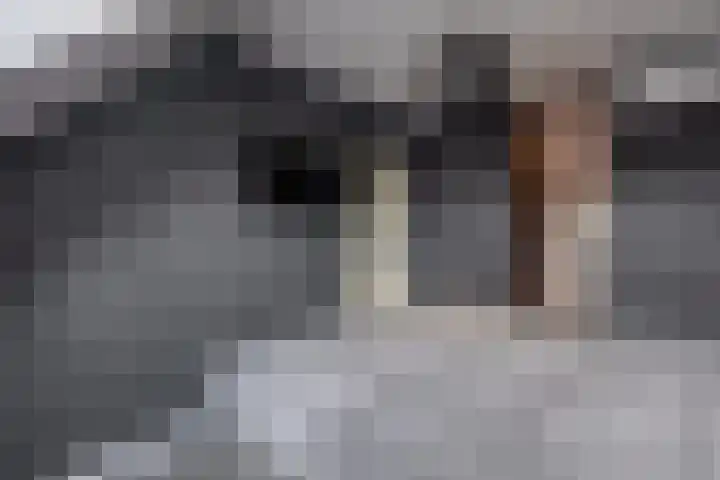 Nieuwevaert 12 Kaatsheuvel thumbnail 33