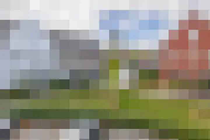 Nieuwevaert 12 Kaatsheuvel thumbnail 4