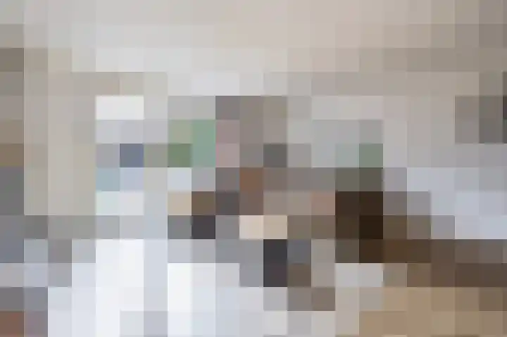 Nieuwevaert 12 Kaatsheuvel thumbnail 8