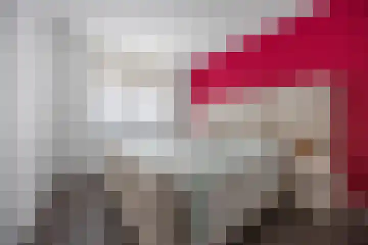 Nieuwevaert 15 Kaatsheuvel thumbnail 12