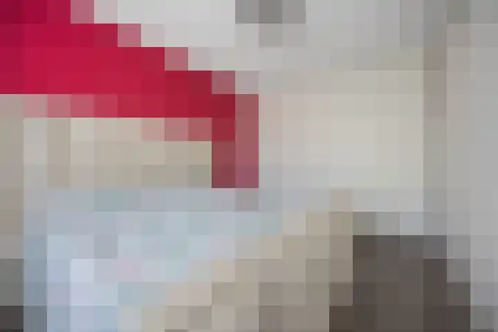 Nieuwevaert 15 Kaatsheuvel thumbnail 13