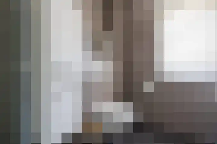 Nieuwevaert 15 Kaatsheuvel thumbnail 14