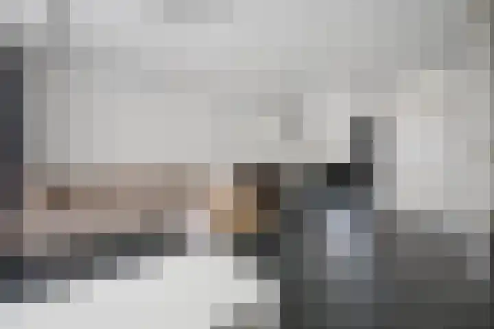 Nieuwevaert 15 Kaatsheuvel thumbnail 8