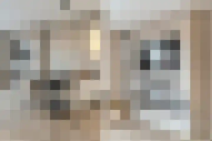 Nieuwevaert 23 Kaatsheuvel thumbnail 10