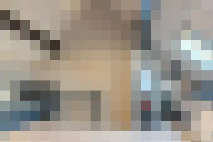 Nieuwevaert 23 Kaatsheuvel thumbnail 28