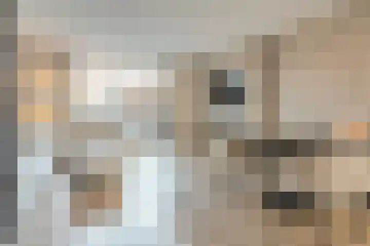 Nieuwevaert 23 Kaatsheuvel thumbnail 4