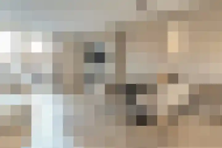 Nieuwevaert 23 Kaatsheuvel thumbnail 5