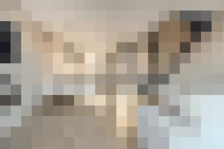 Nieuwevaert 23 Kaatsheuvel thumbnail 6