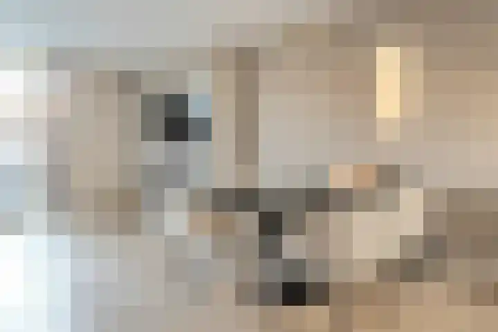 Nieuwevaert 23 Kaatsheuvel thumbnail 8