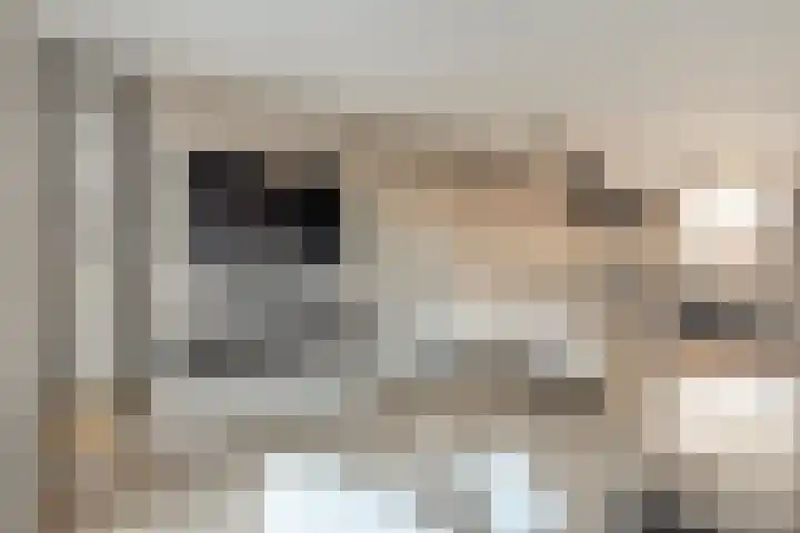 Nieuwevaert 23 Kaatsheuvel thumbnail 9
