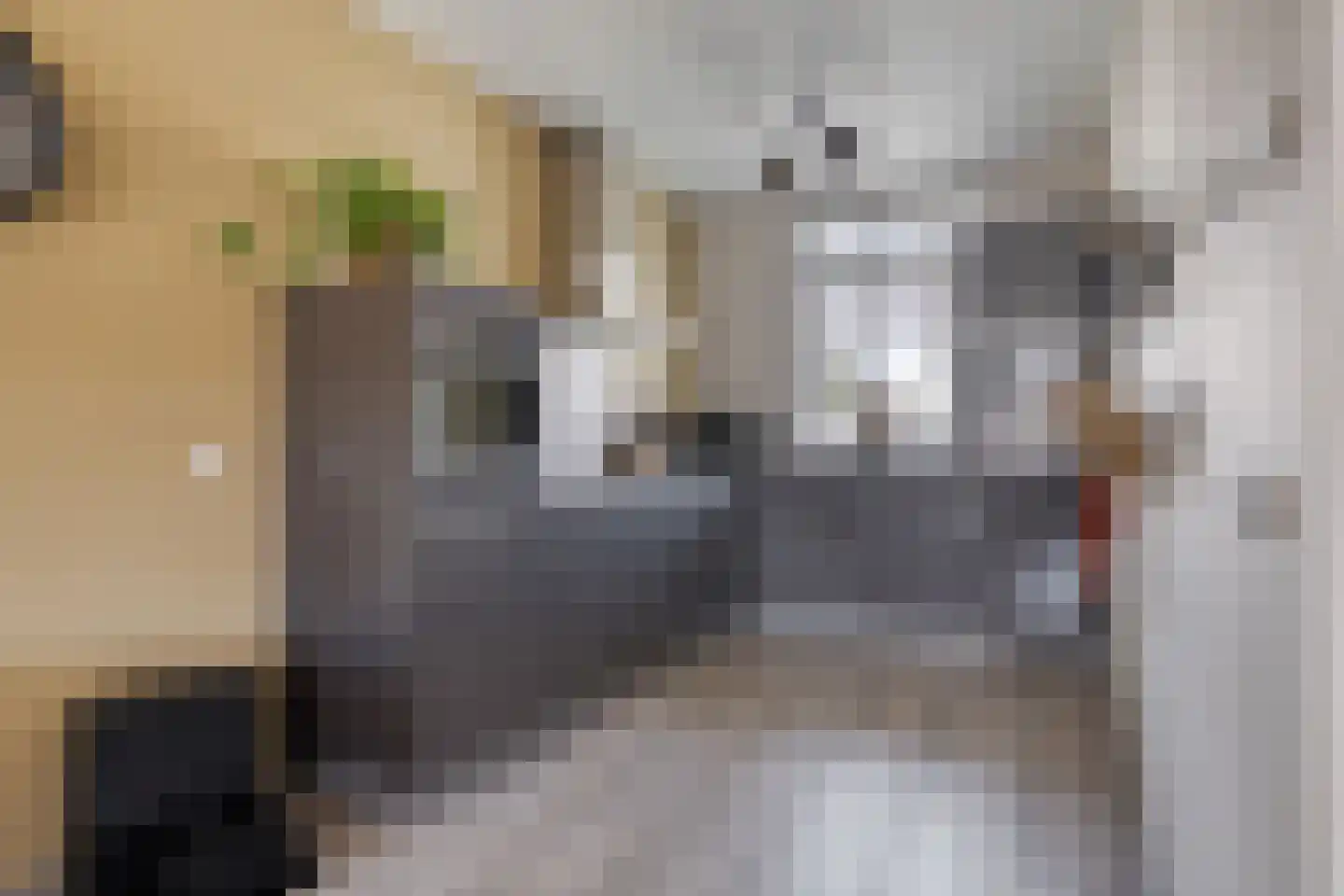 Nieuwevaert 40 Kaatsheuvel thumbnail 11