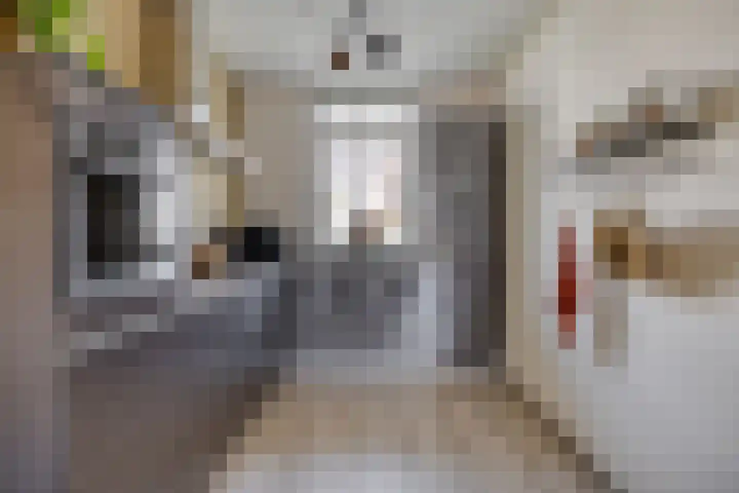 Nieuwevaert 40 Kaatsheuvel thumbnail 13