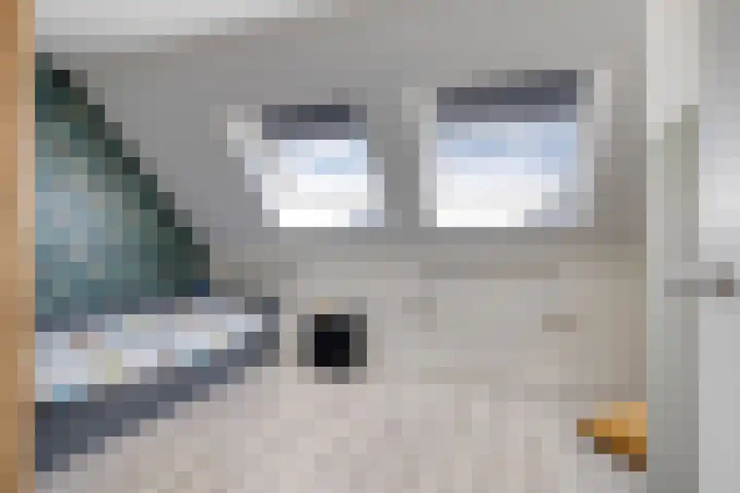 Nieuwevaert 40 Kaatsheuvel thumbnail 21