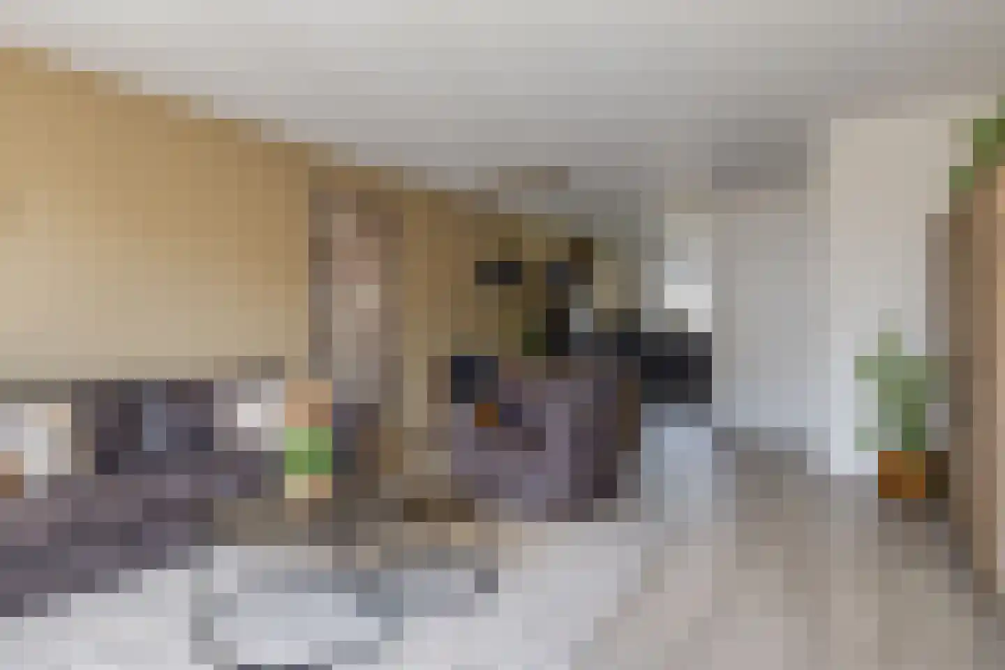 Nieuwevaert 40 Kaatsheuvel thumbnail 8